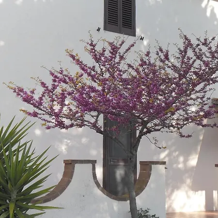 Poggio Petrella Farm stay