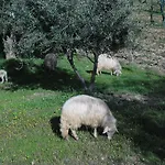 Çiftlik konaklama Poggio Petrella